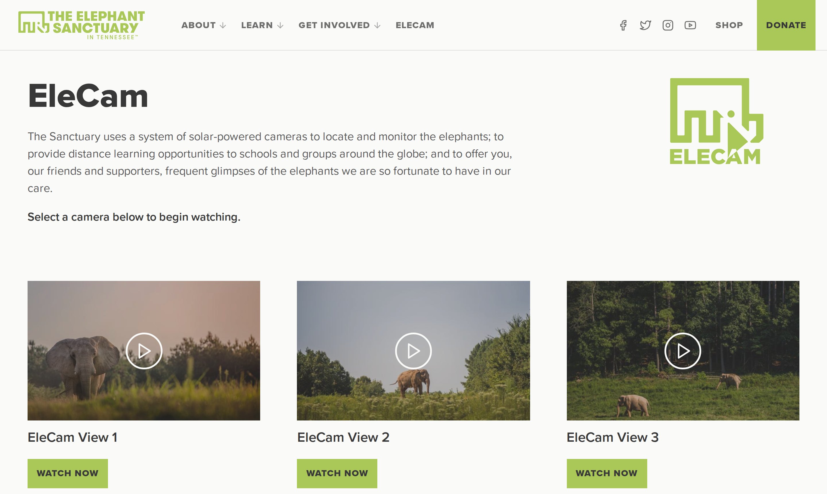 The EleCam page, offering three live camera views of the elephants with a Watch Now button under each