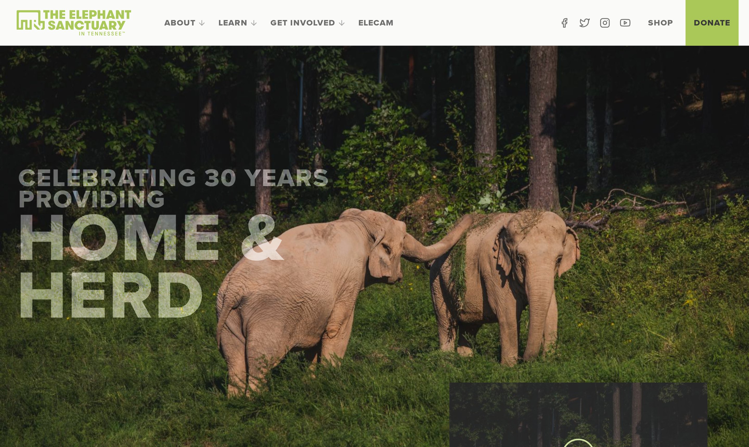 The Sanctuary home page: two elephants in a wooded pasture under the headline Celebrating 30 Years Providing Home & Herd